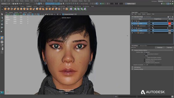 Maya LT - Image 2