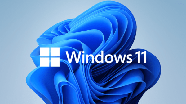Windows 11 Pro FPP - Image 2